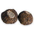 Truffe noire fraîche - Tuber indicum (Catégorie B) Terra Ross