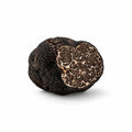 Four fresh Tuber macrosporum Smooth Black Truffles selected for B Grade culinary use