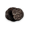 Truffe d'ail frais avec intérieur marbré de Tuber Macrosporum produit de qualité B