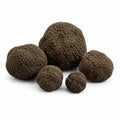 Truffes d’été fraîches entières – Tuber aestivum Catégorie EXTRA