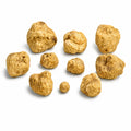 Petites truffes blanches fraîches de Tuber magnatum, présentant des surfaces naturellement irrégulières d’un ocre pâle
