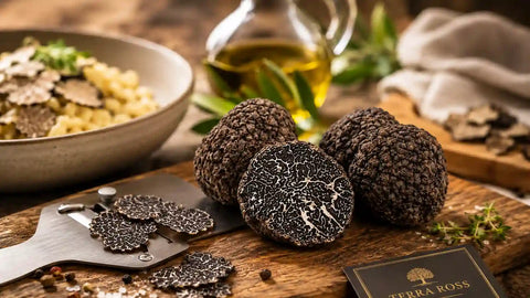 Guide de la Truffe noire : Tuber melanosporum, saison, arôme et utilisations
