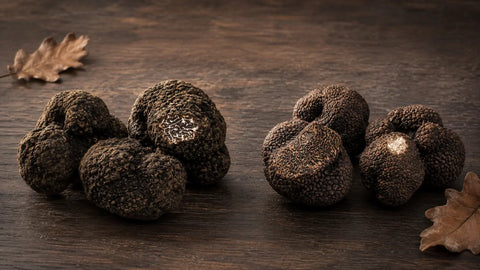 Tuber melanosporum and Tuber indicum truffles presented side by side for comparison