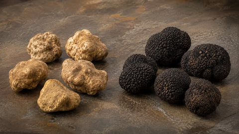 Tuber magnatum and Tuber melanosporum truffles arranged side by side on a dark stone surface