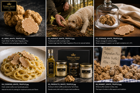 White Truffle Guide: Meaning, Facts, and Origins