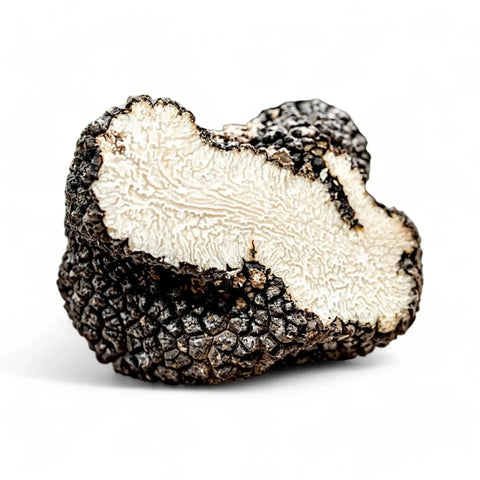 Truffe d'été – Tuber aestivum