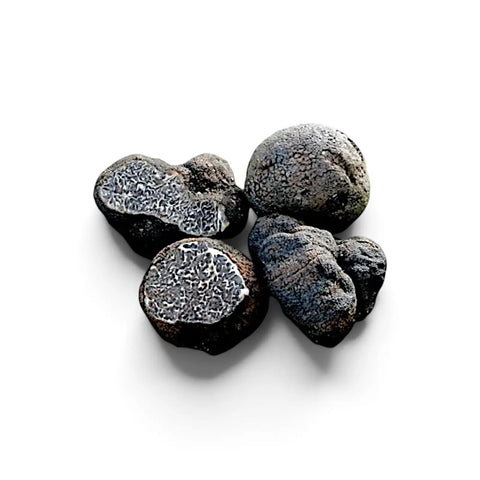 Truffes noires lisses – Tuber macrosporum