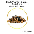 Cubes de truffe noire de 5 × 5 × 5 mm en saumure pour usage professionnel