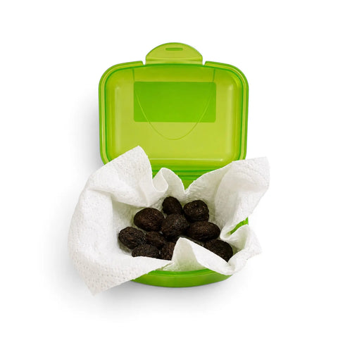 Truffes noires pour le dressage canin