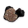 Tranche de truffe fraîche de Bagnoli Tuber Mesentericum avec des veines blanches