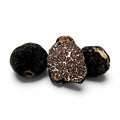Truffes fraîches Tuber mesentericum Bagnoli sélectionnées en qualité B