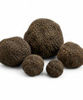 Truffes d'été noires fraîches entières – Tuber aestivum Catégorie EXTRA