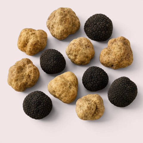 Sélection de truffes européennes entières fraîches noires et blanches