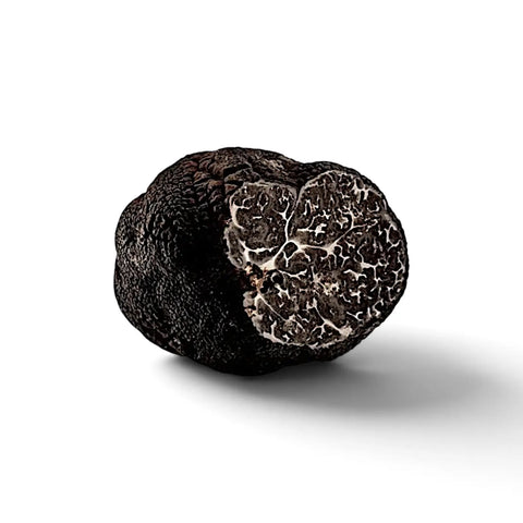 Fresh Tuber macrosporum Smooth Black Truffle B Grade with marbled interior