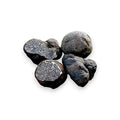 Quatre truffes fraîches à l'ail Tuber Macrosporum de qualité A pour usage culinaire gourmet