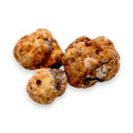 Truffe de printemps fraîche Tuber Borchii avec trois truffes blanches pour usage culinaire gourmet