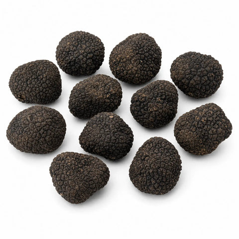 Petites truffes fraîches noires d'été – Tuber aestivum de qualité B  