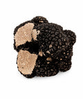 Truffes fraîches Tuber aestivum C Grade coupées et partiellement cassées montrant des intérieurs marbrés pâles