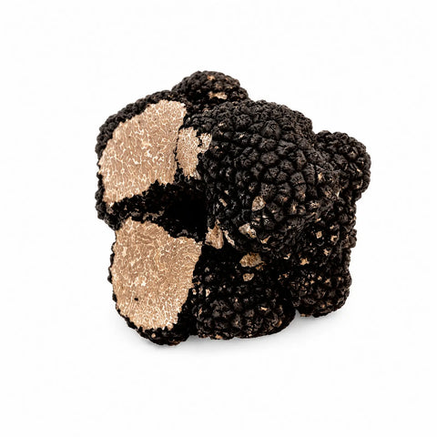 Truffes fraîches Tuber aestivum C Grade coupées et partiellement cassées montrant des intérieurs marbrés pâles