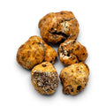 Truffes fraîches entières Tuber borchii de grade A, sélectionnées en portions individuelles d’environ 8 à 20 g