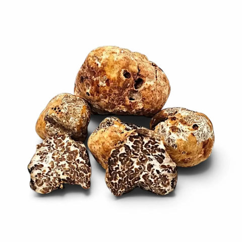 Truffes fraîches de Tuber borchii de catégorie B, présentant une couleur intérieure naturellement pâle et un veinage délicat