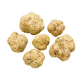Grosses truffes blanches fraîches Tuber magnatum avec des surfaces ocre pâle et une variation naturelle de forme  