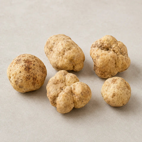 Truffes blanches Tuber magnatum fraîches de taille moyenne présentant une couleur ocre pâle naturelle et une variation extérieure