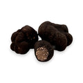Truffe d’hiver fraîche Tuber Brumale avec une coupe ouverte montrant un intérieur riche