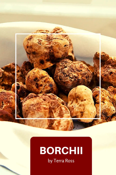 Pile of rough, tan truffles.