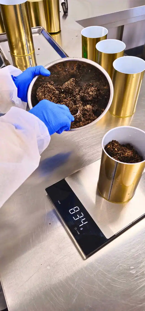 Préparation professionnelle de produits à la truffe pour la restauration et l'approvisionnement en production alimentaire