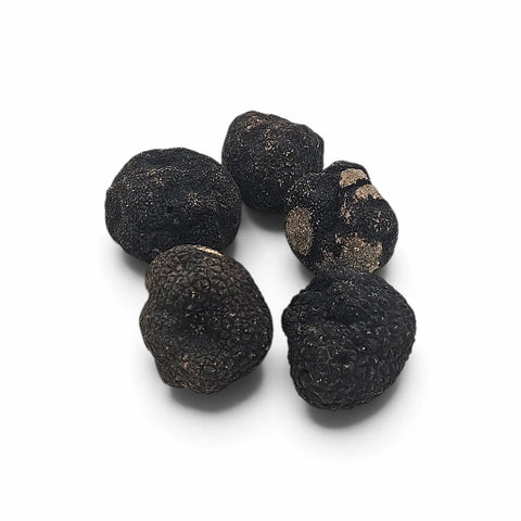 Truffes noires d'hiver entières et coupées Tuber brumale, à surface sombre naturellement rugueuse et intérieur marbré