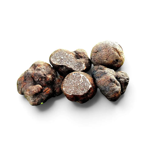 Gros plan sur des truffes Tuber macrosporum aux surfaces sombres et lisses et à l’intérieur marbré